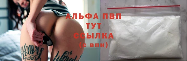 кокс Богородицк