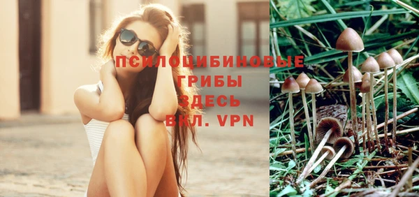 a pvp Богородск