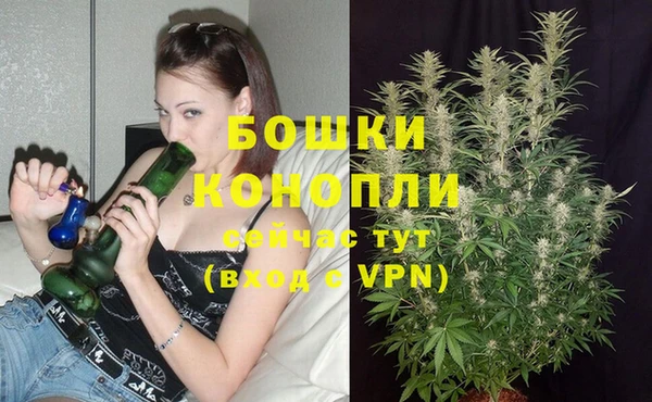 крисы Балабаново