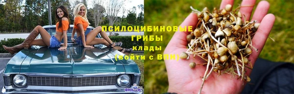 альфа пвп Белокуриха