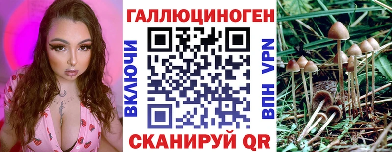 Псилоцибиновые грибы прущие грибы Минеральные Воды