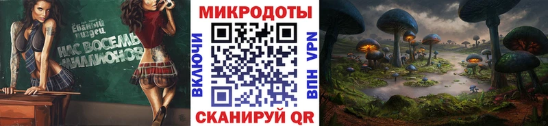 Псилоцибиновые грибы Cubensis Минеральные Воды